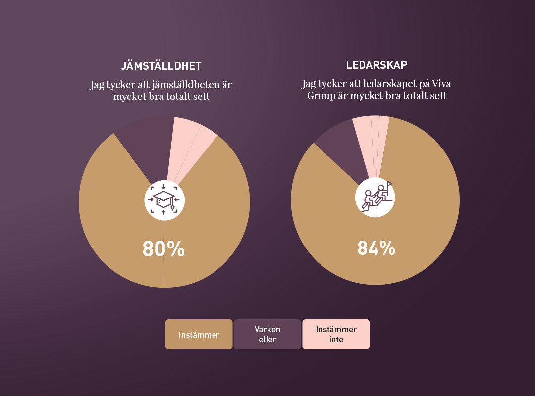 jämställdhet viva wine group, grafik