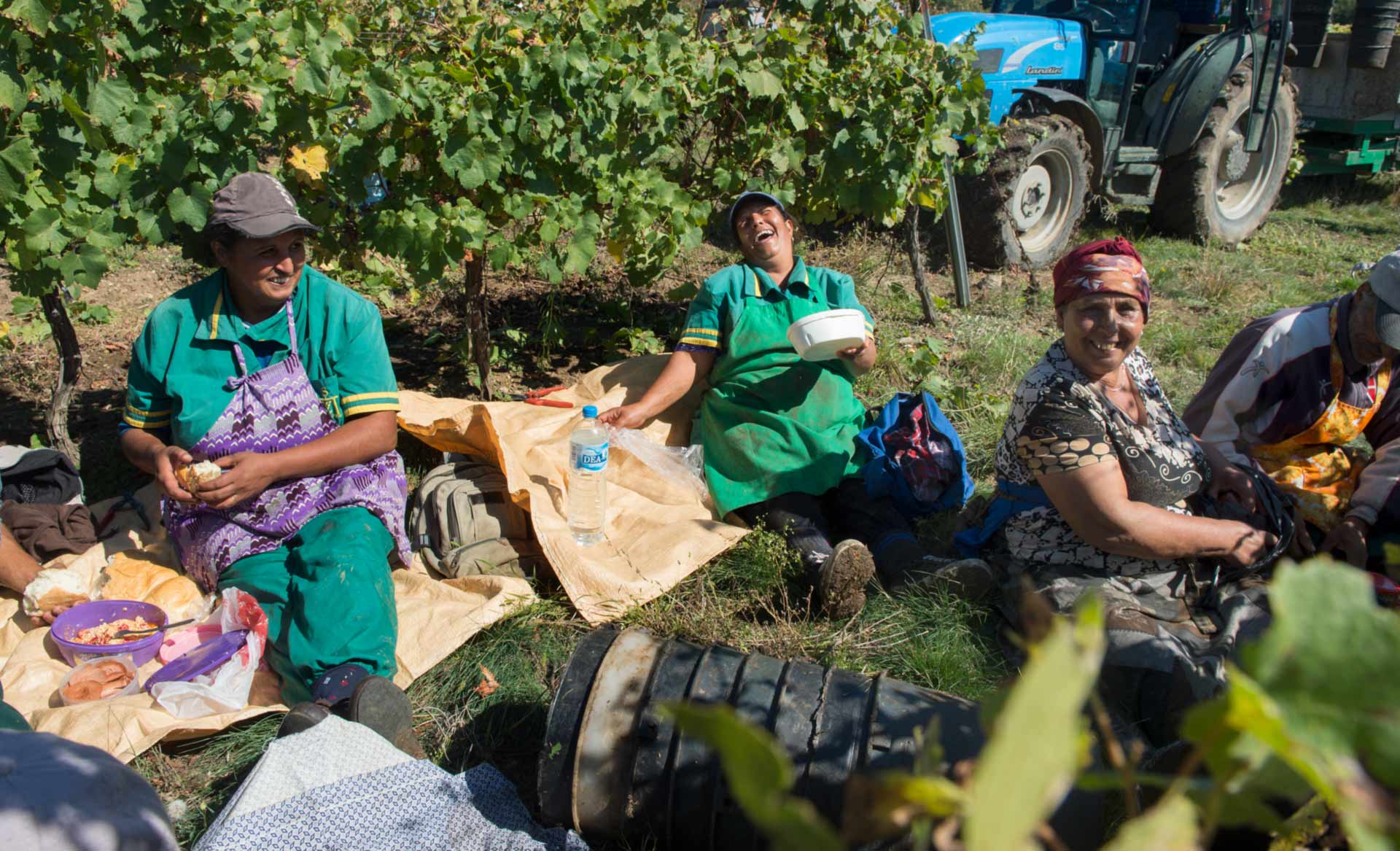 break during wine production