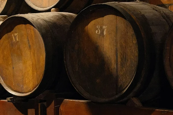 viva-governance-hero