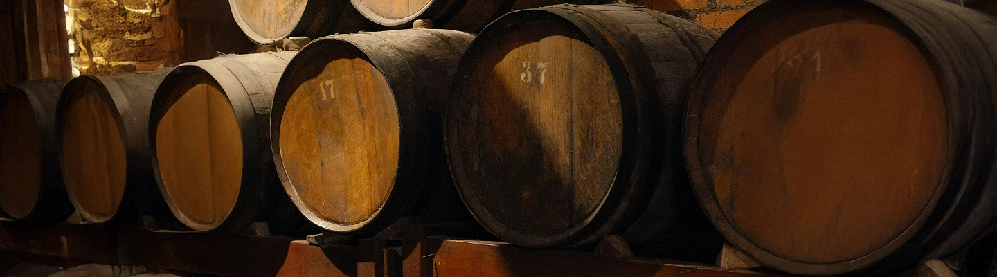 viva-governance-hero