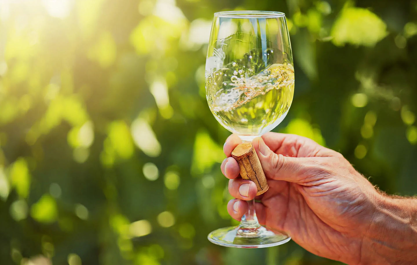 viva-sustainability-drives-growth