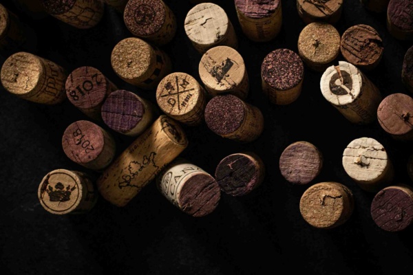 Sida 6 & 34 - blackieshoot-pH9e5w-TH-s-unsplash-min