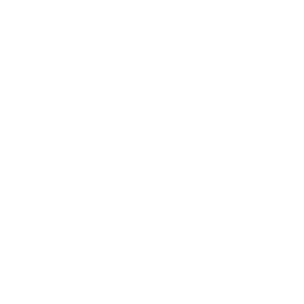 Viva Wine Group - Logo White