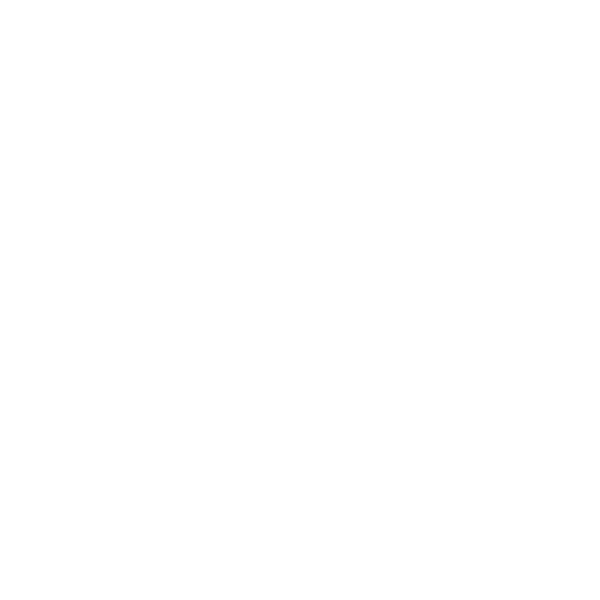 Viva Wine Group - Logo White
