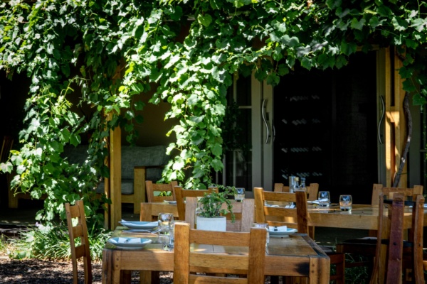 pexels-magda-ehlers-pexels-3873818